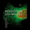 Molecular Cell Biology