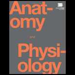 Anatomy & Physiology - 1st Edition - by Kelly A. Young, James A. Wise, Peter DeSaix, Dean H. Kruse, Brandon Poe, Eddie Johnson, Jody E. Johnson, Oksana Korol, J. Gordon Betts, Mark Womble - ISBN 9781938168130