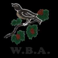 West Bromwich Albion