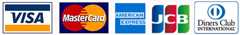 ご利用いただけるクレジットカード：VISA, MASTER,AMEX,JCB,ダイナース