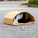 ぐるぐるベルト（小）-1