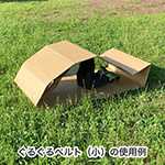 ぐるぐるベルト（小）-5