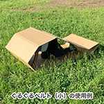 ぐるぐるベルト（小）-6