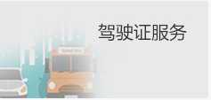 驾驶证服务