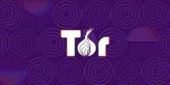 How to access the Dark Web using the Tor Browser
