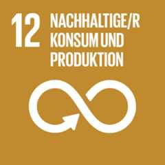 SDG 12: Nachhaltiger Konsum und Produktion