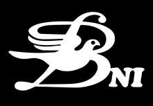 Burma News International