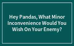 Hey Pandas, What Minor Inconvenience Would You Wish On Your Enemy?