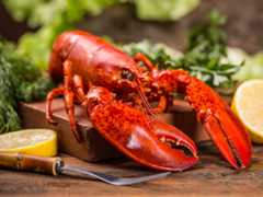 Lobster dinner