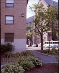 Ruth 2 Boston Housing Authority’s Ruth Barkley Apartments complex. (Housing Natigator.org photo)