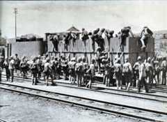 Armoured Train used in Northern Natal by Buller’s Army during the Boer War
