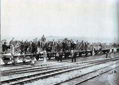 Boers with the captured guns after the Battle of Colenso on 15th December 1899