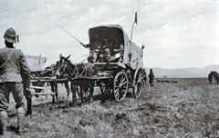 British ambulance collecting wounded soldiers after the Battle of Colenso on 15th December 1899