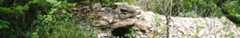 Slideshow Image 11