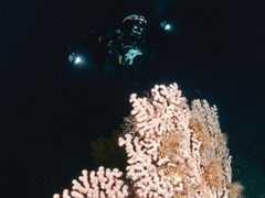 Thumbnail photo for Leave your comfort zone&hellip; and learn new scuba diving skills