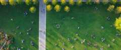 Birds-eye view of a park.