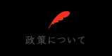 政策について