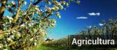 Agricultura