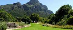 Kirstenbosch Gardens