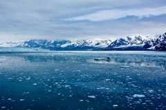 Sea ice off the coast of Alaska, US