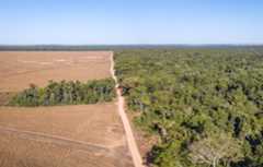 Aerial view of illegal Amazon deforestation.