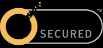 Norton logo