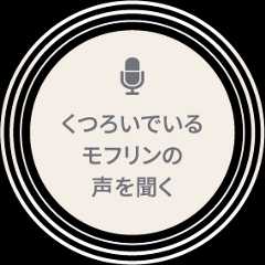 くつろいでいるモフリンの声を聞く