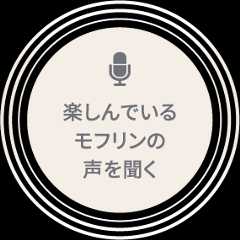 楽しんでいるモフリンの声を聞く