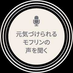 元気づけられるモフリンの声を聞く