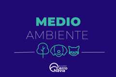 Medio ambiente