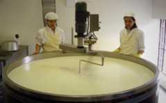 50 Years of Cheesemaking at Hunts Court