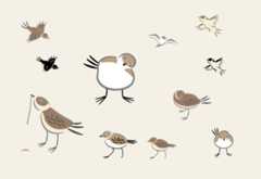 WordPressに百千鳥フォントを入れて遊んでみました