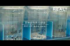 #33【分析1】測定分析（農産物・海産物）のイメージ