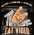 CatVideoFest 1枚目の写真・画像