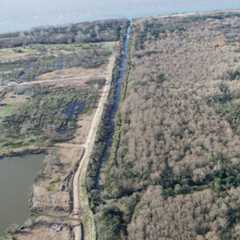 Polémica por la construcción de un barrio en los humedales de Hudson