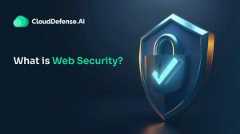 What is Web Security