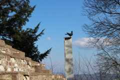 Colombe de la Paix Le Corbusier Ronchamp