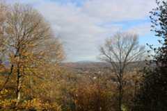 VUE EST AUTOMNE