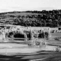Landscape Management