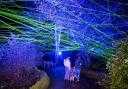 Light Up Sir Harold Hillier Gardens opens next week