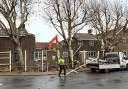 The demolition of the Gosport Police station is underway for redevelopment for a new police station. The police station closed in 2016, but the council put a tree preservation order in place on three trees just before works were due to start.  Please