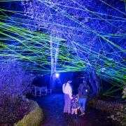 Light Up Sir Harold Hillier Gardens opens next week