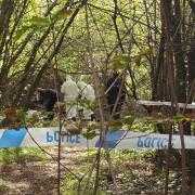 Forensic officers in Southampton Common