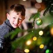 A little boy exploring the National Trust Christmas decorations