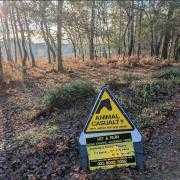 Yellow signs have been erected on roads across the New Forest