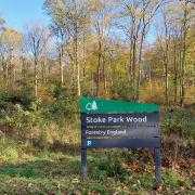 Stoke Park Woods, Bishopstoke