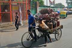 এক ধাক্কায় ৫০ টাকা দাম বাড়ল রান্নার গ্যাসের