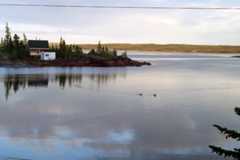 Two loons and a cabin.