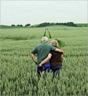 amor