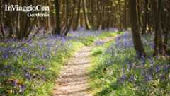 Londra Chelsea Flower Show | In Viaggio con Gardenia